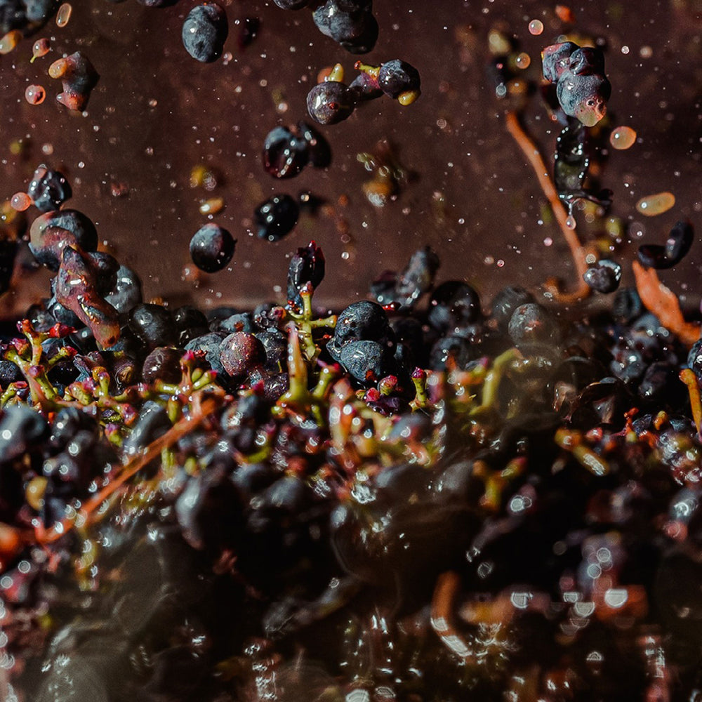 Torbreck The Steading 2022 3L - Kent Street Cellars