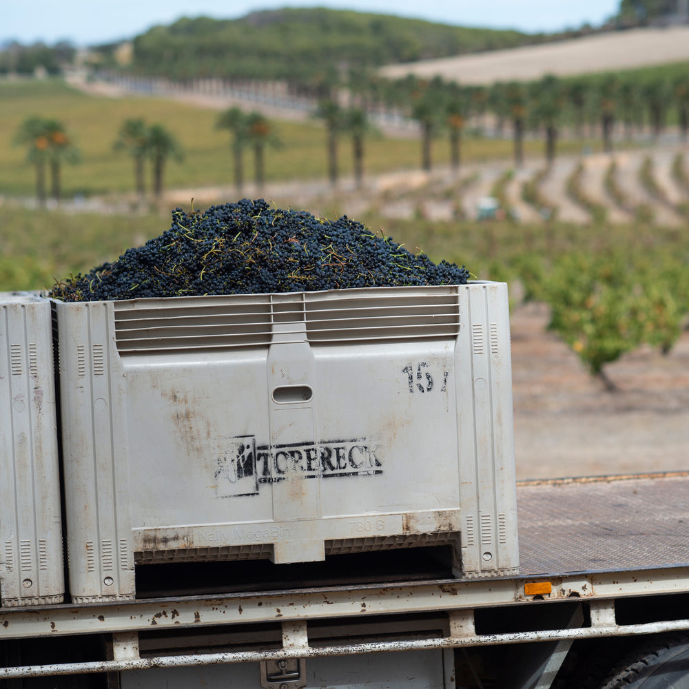 Torbreck Runrig Shiraz 2020 - Kent Street Cellars