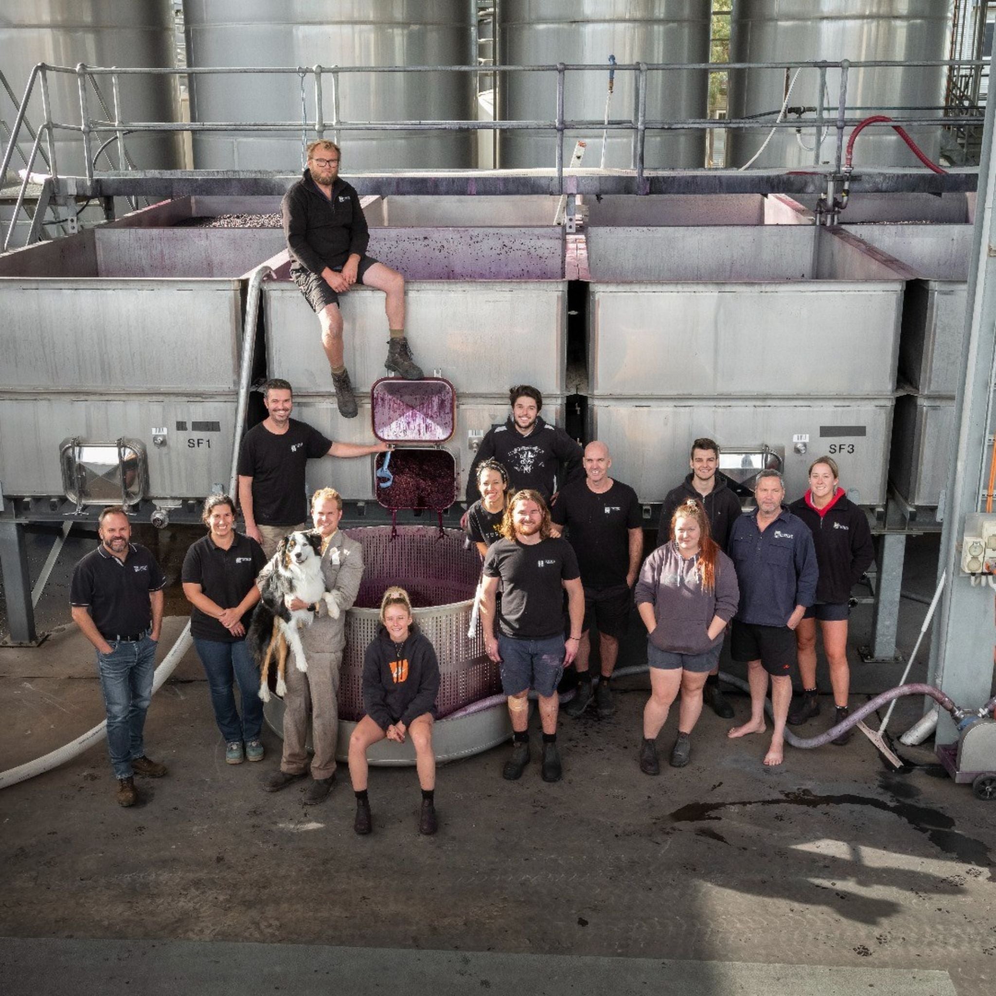 The Vineyard | Torbreck 2022