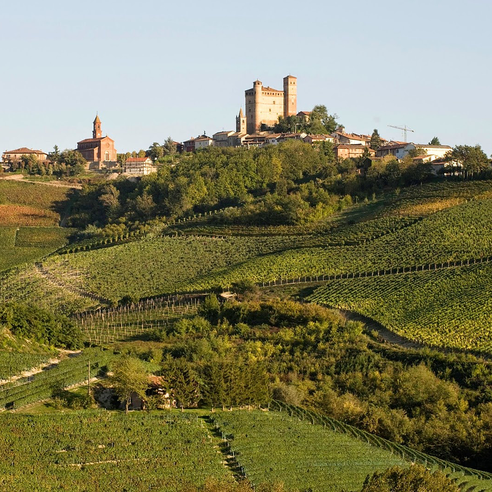 Vietti Barolo Cerequio La Morra 2019
