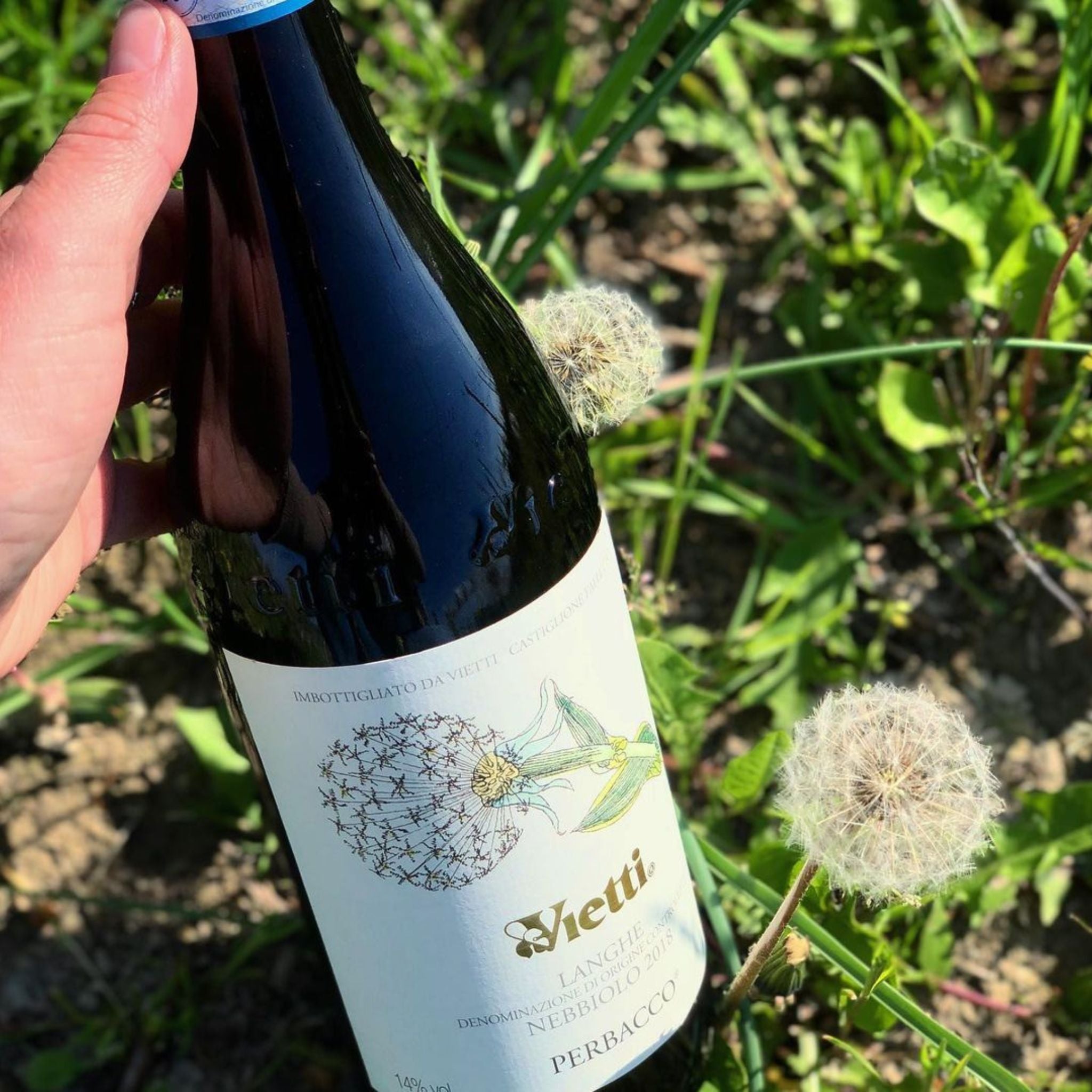 Vietti Langhe Nebbiolo Perbacco 2020 1.5L