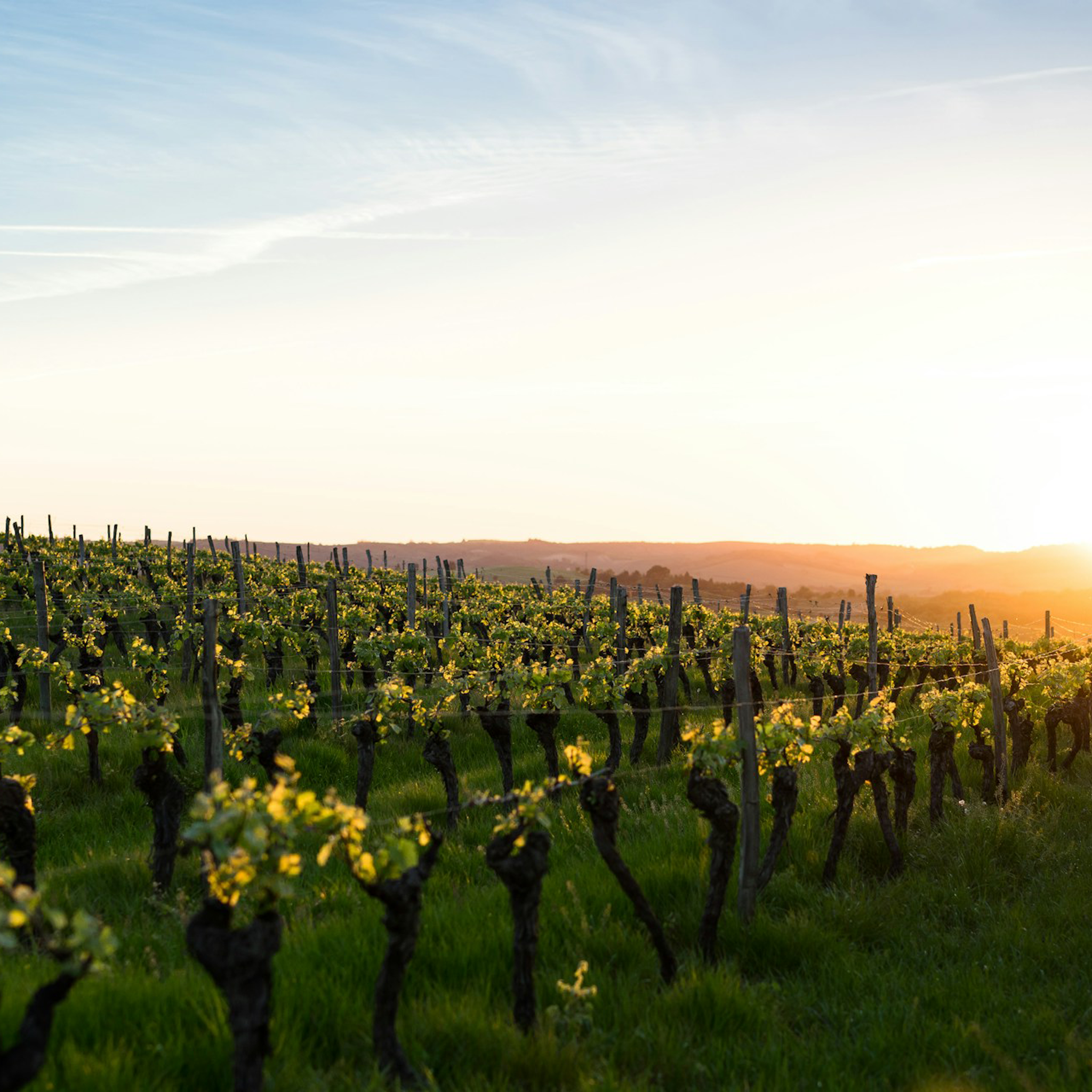 Domaine Pierre Usseglio & Fils Cotes Du Rhone 2022
