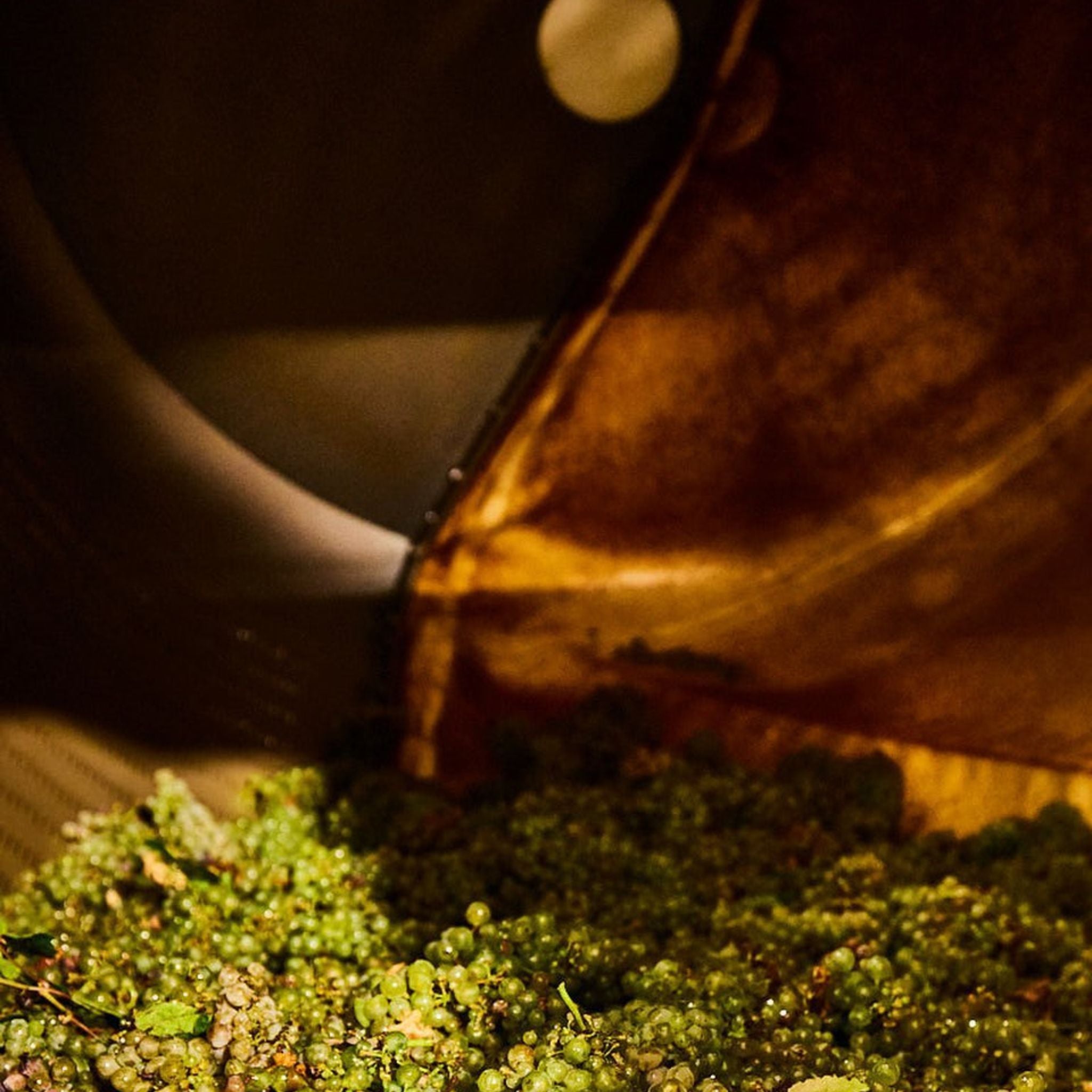 Clonakilla Viognier 2023
