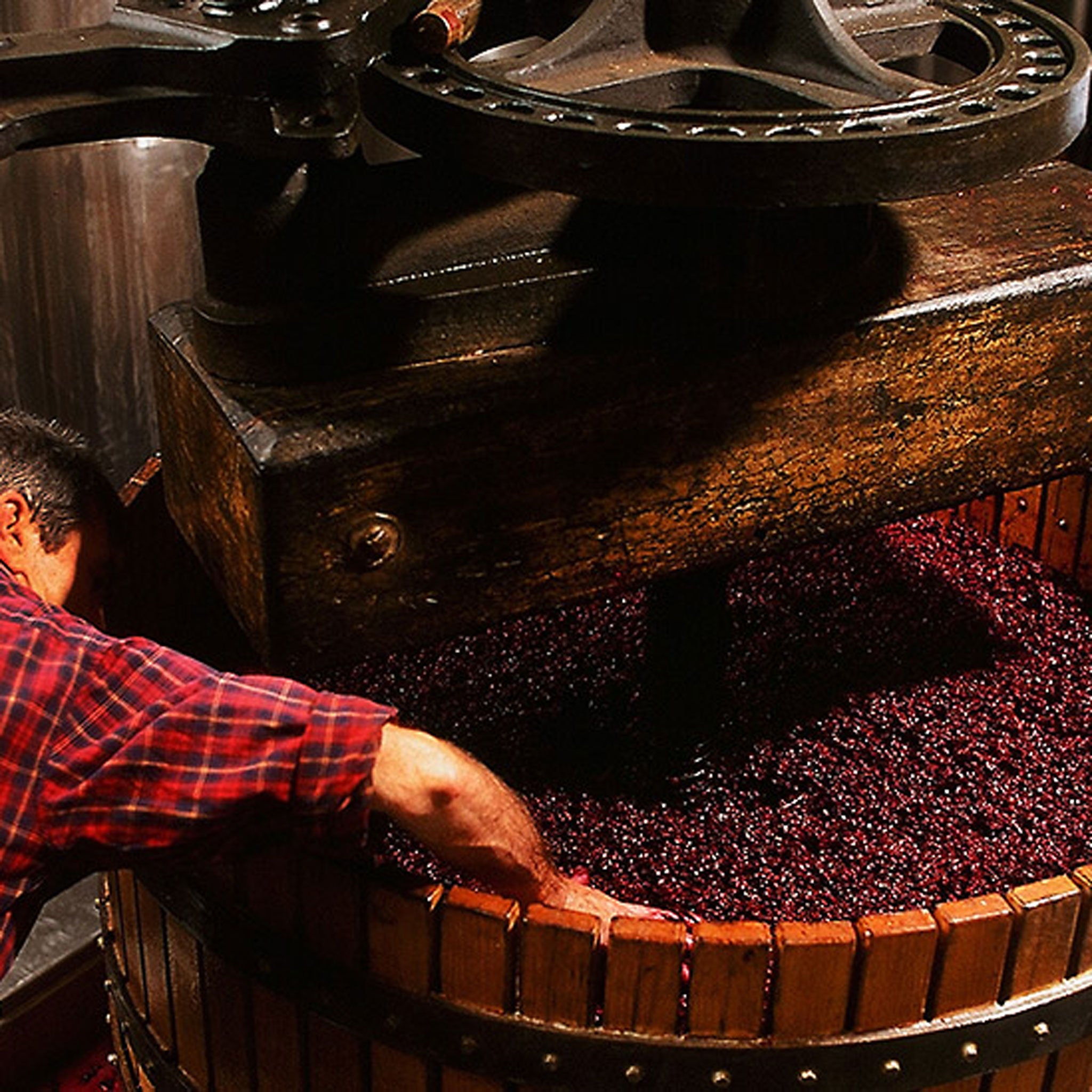 Wendouree Cabernet Sauvignon 2015