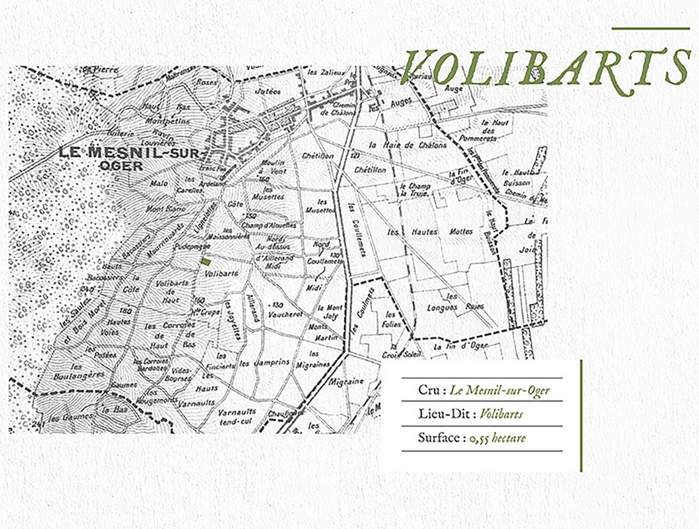 Louis Roederer Hommage à Camille Coteaux Champenois Blanc 2020