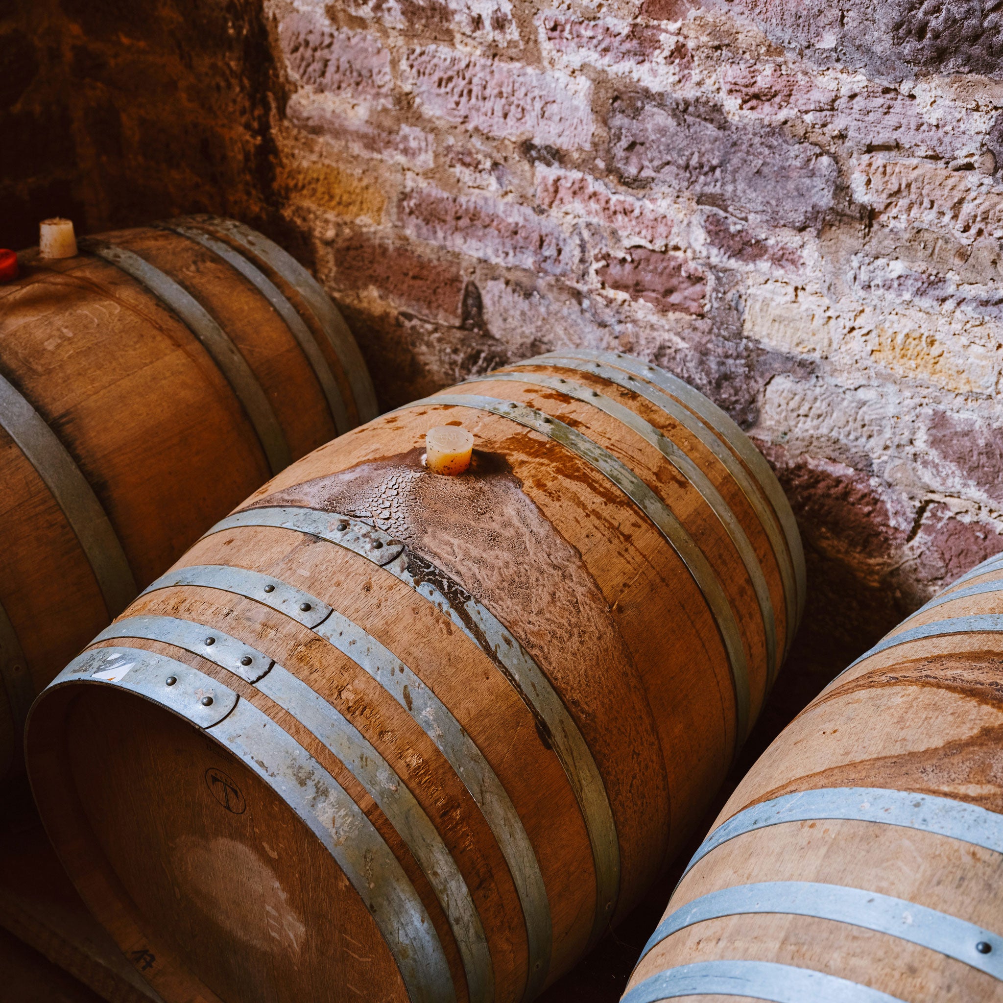 Philosophy | Domaine des Tours