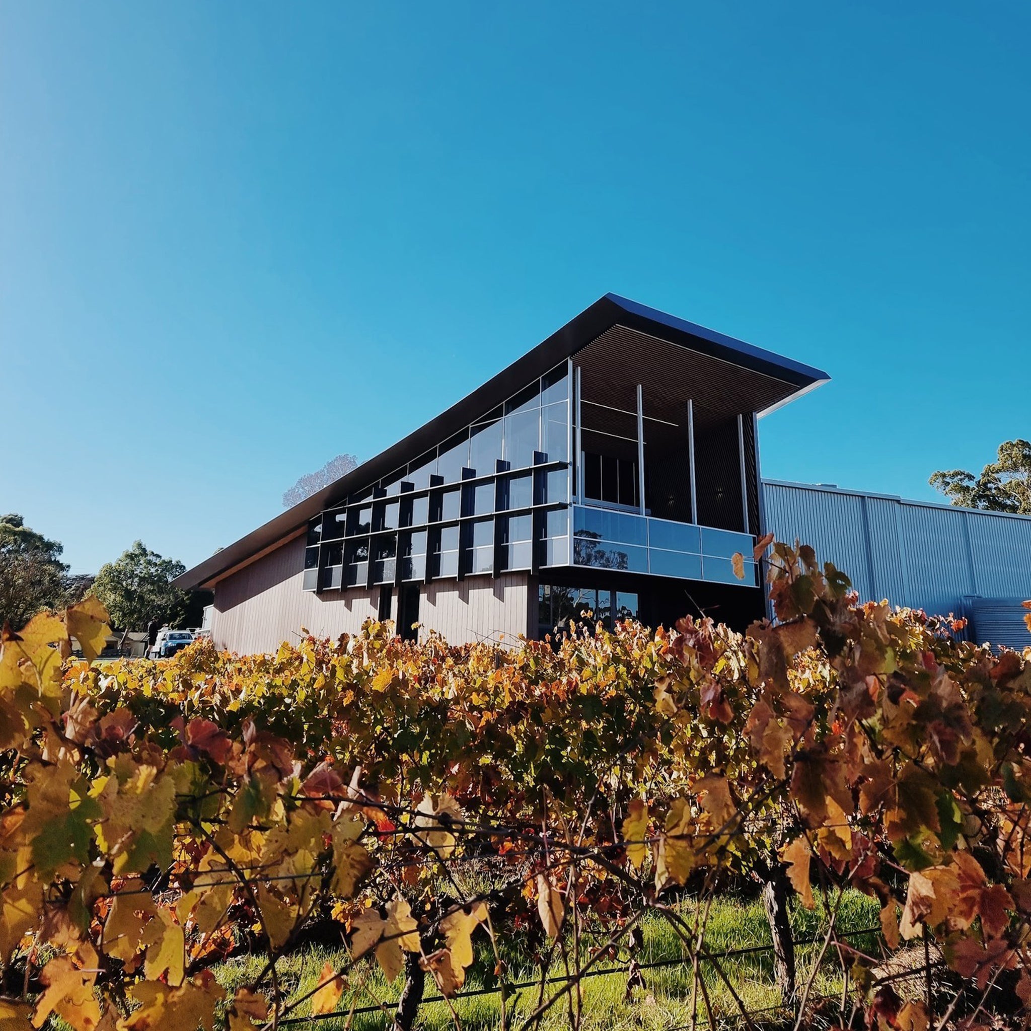Yangarra Old Vine Grenache 2023