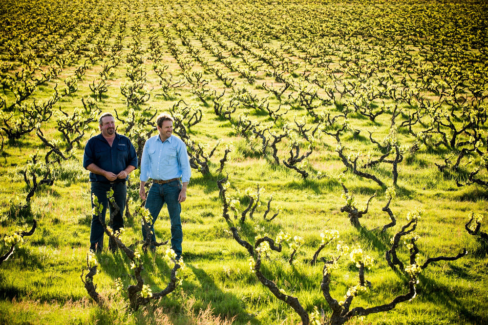 Yangarra Estate Ironheart Shiraz 2020 - Kent Street Cellars