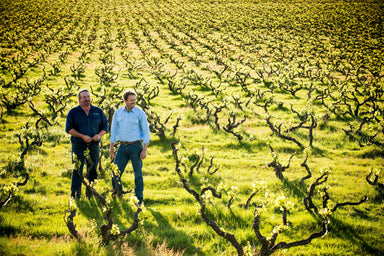 Yangarra GSM 2021 - Kent Street Cellars