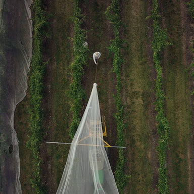 Yarra Yering Netting - Kent Street Cellars
