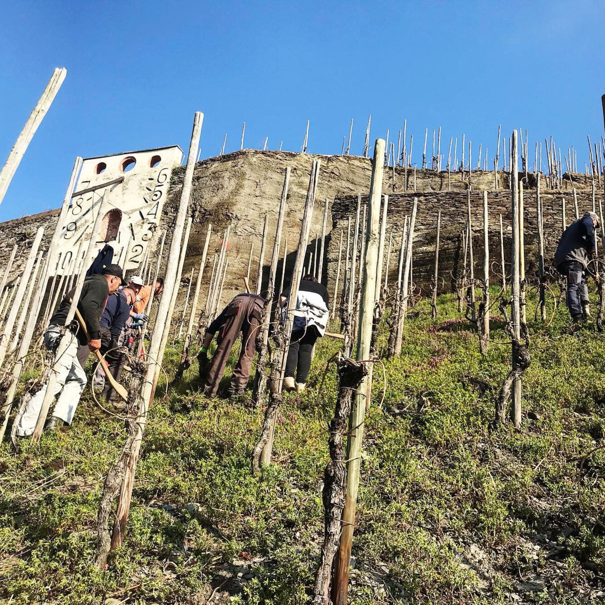 Joh Jos Prüm Zeltinger Sonnenuhr Riesling Spätlese 2022