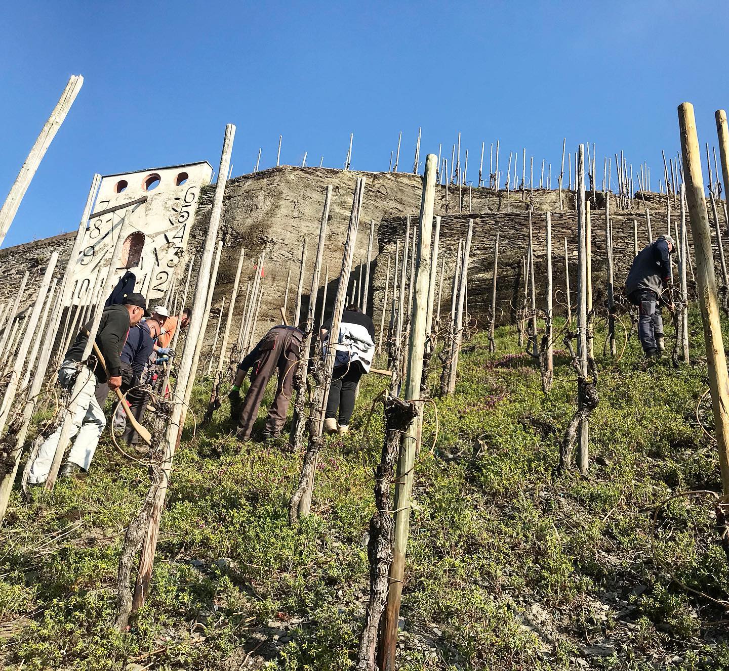Joh Jos Prüm Wehlener Sonnenuhr Riesling Kabinett 2022