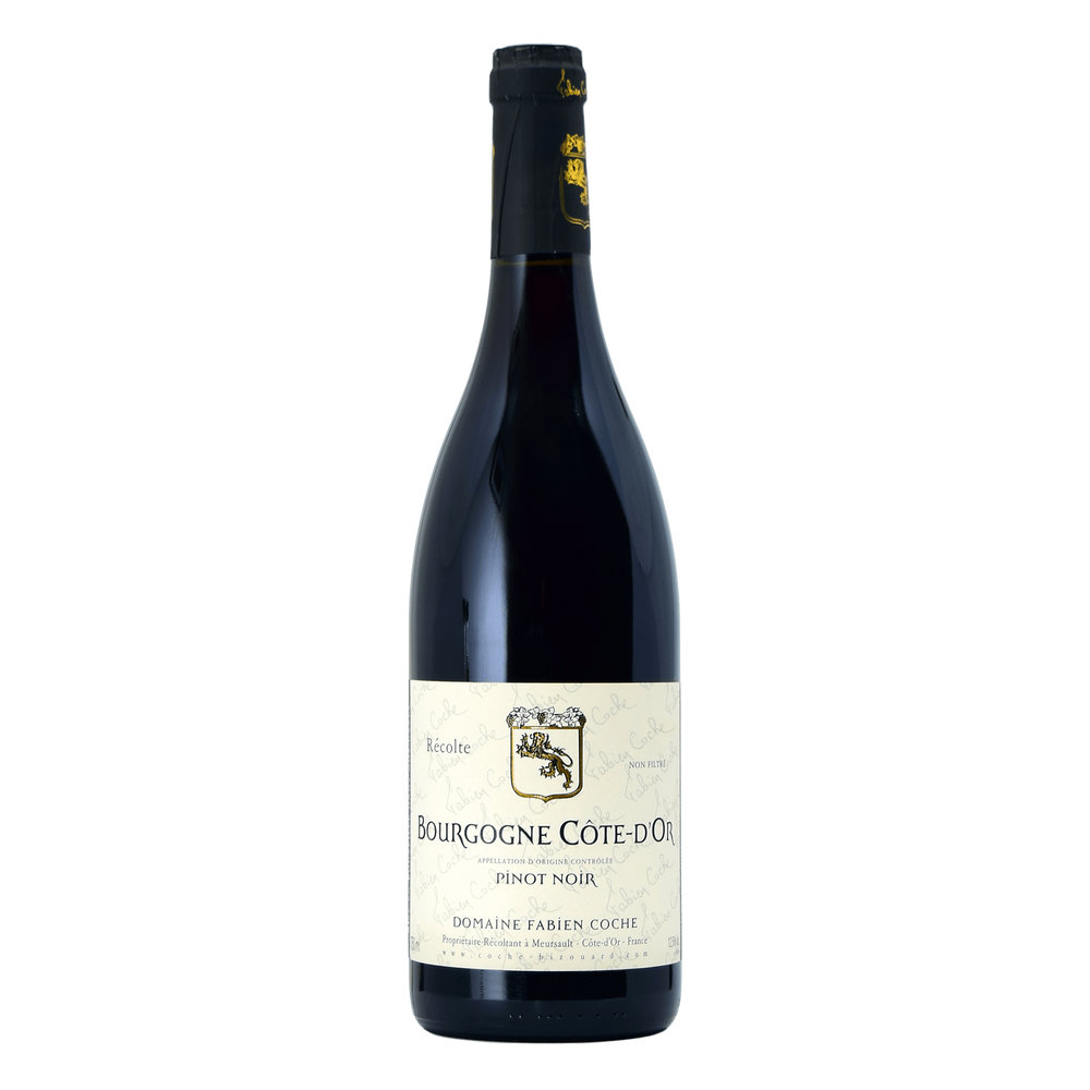 Domaine Fabien Coche Bourgogne Rouge Pinot Noir 2020 - Kent Street Cellars
