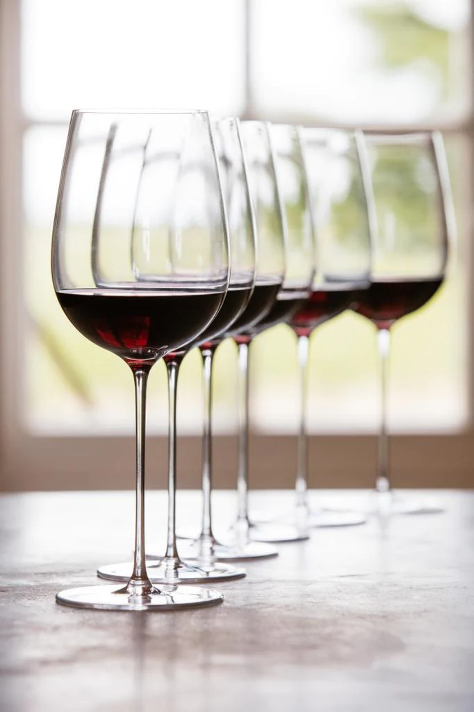 Sydonios Le Meridional Wine Glass (6 Pack)